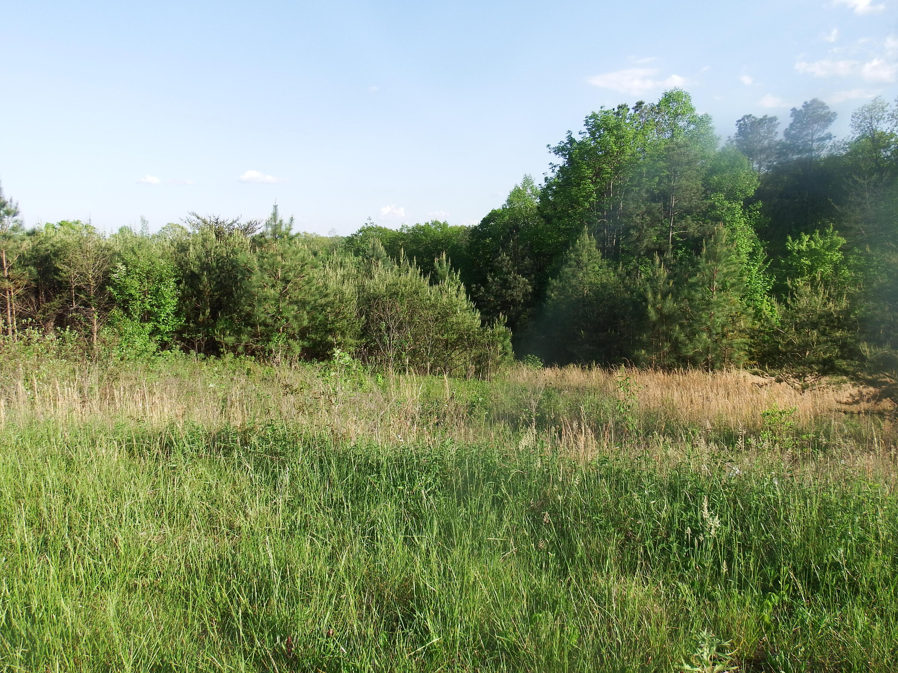 0 Fredonia Road, Unit 24 Dunlap, TN 37327 - Photo 2 of 15 DSCF2514