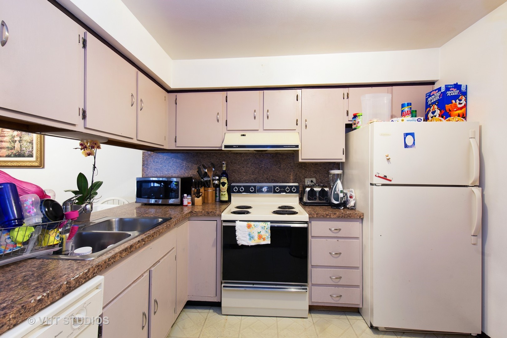718 Rodenburg Road, Unit 206 Roselle, IL 60172 - Photo 2 of 12