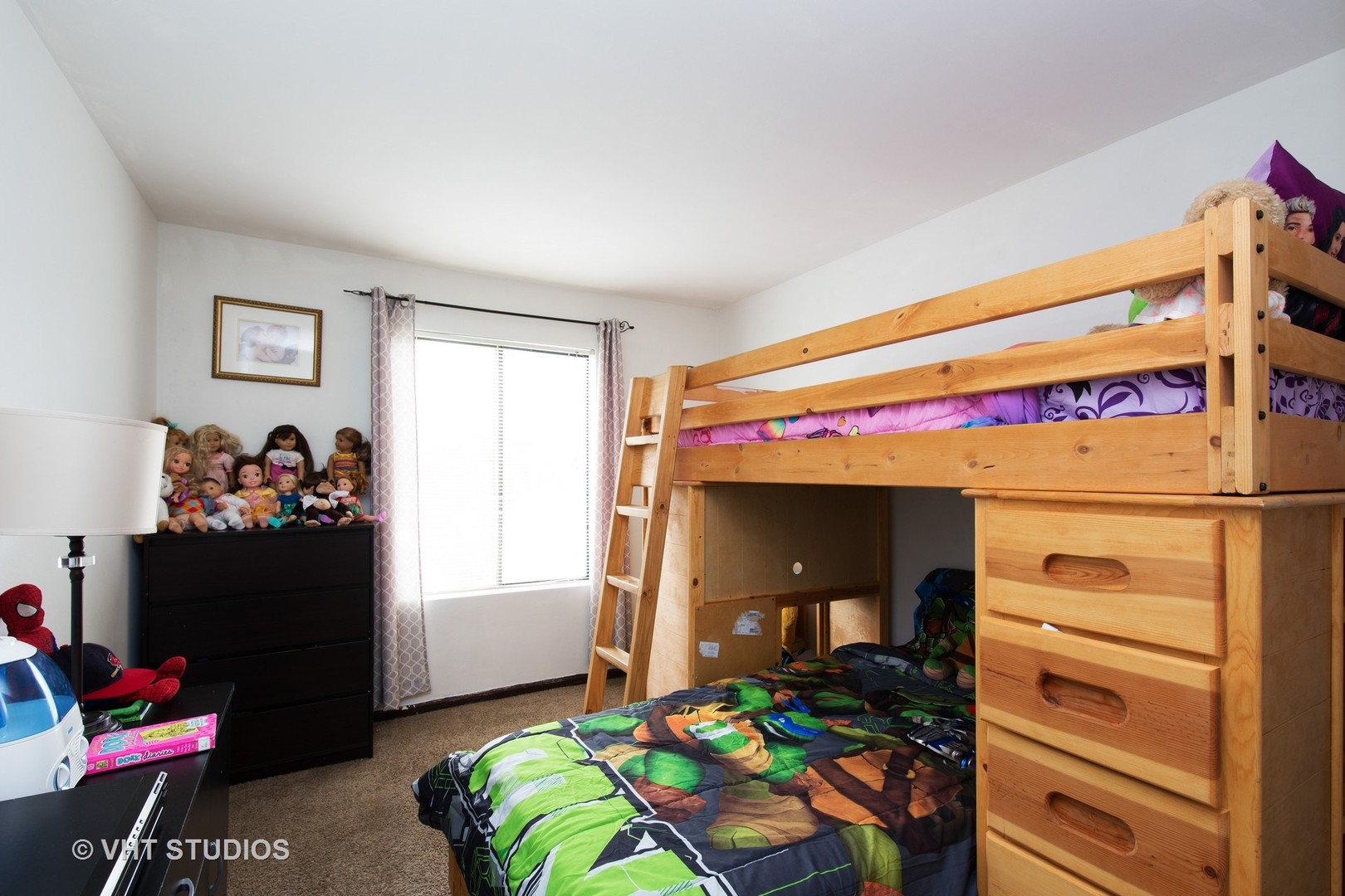 718 Rodenburg Road, Unit 206 Roselle, IL 60172 - Photo 10 of 12