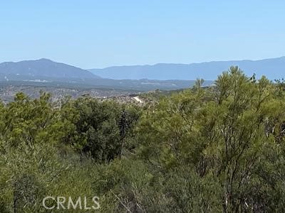 19 Higgins Road Anza, CA 92539 - Photo 15 of 18