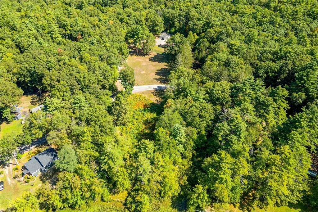 0 King Road Athol, MA 01331 - Photo 7 of 9 a view of a big yard with plants and large trees