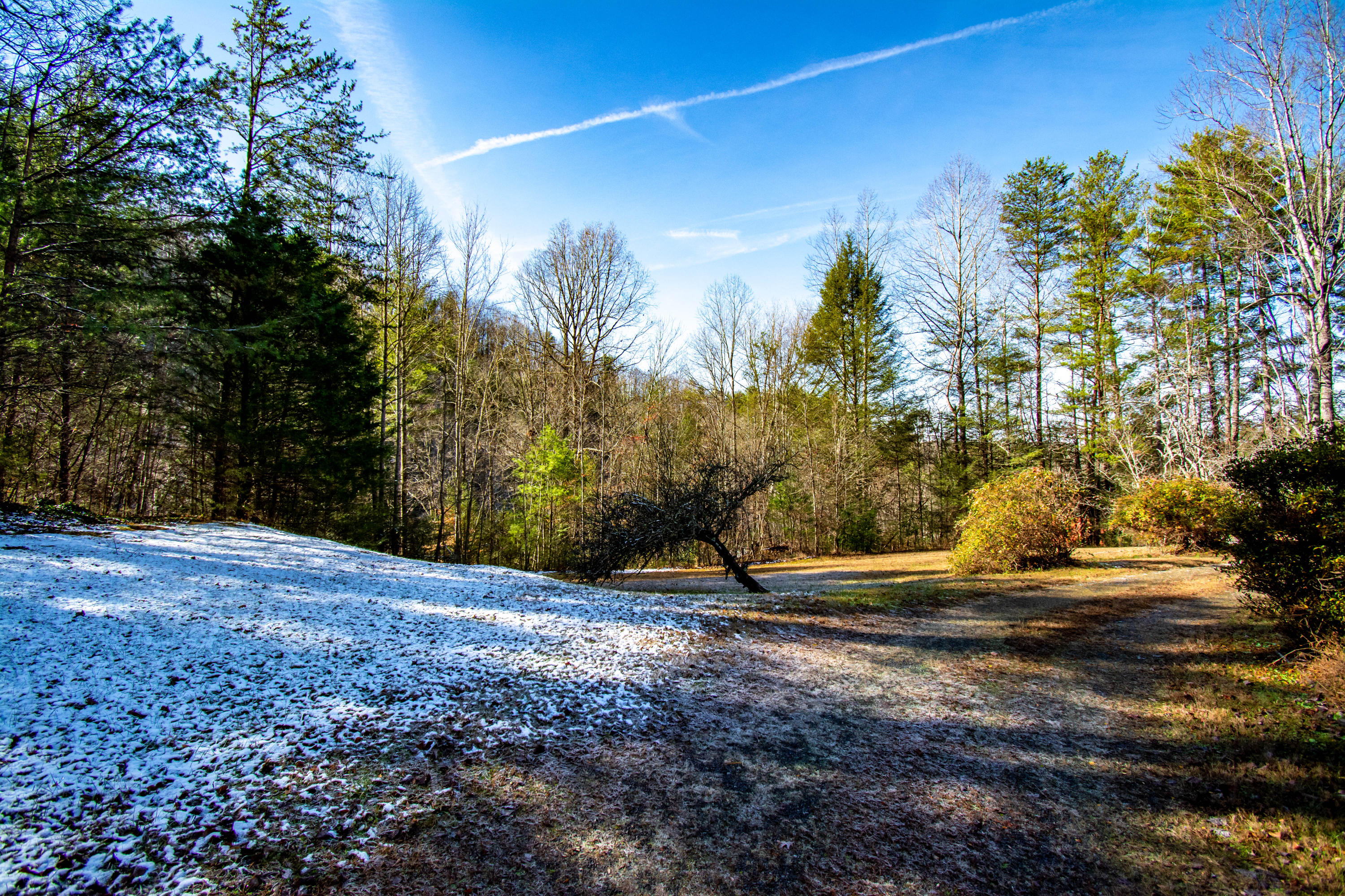 2208 Rafter Road Tellico Plains, TN 37385 - Photo 28 of 31 DSC_0149