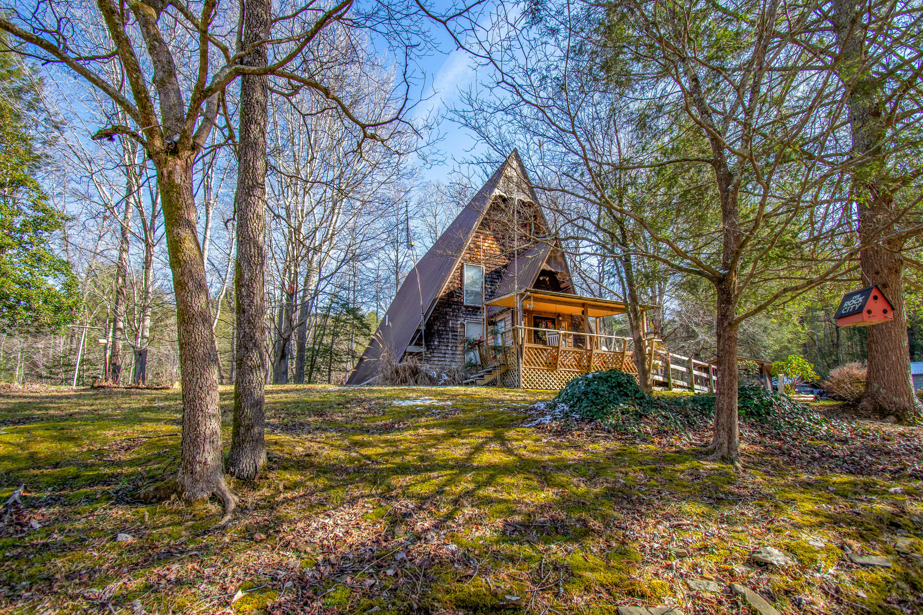 2208 Rafter Road Tellico Plains, TN 37385 - Photo 29 of 31 DSC_0153-Edit