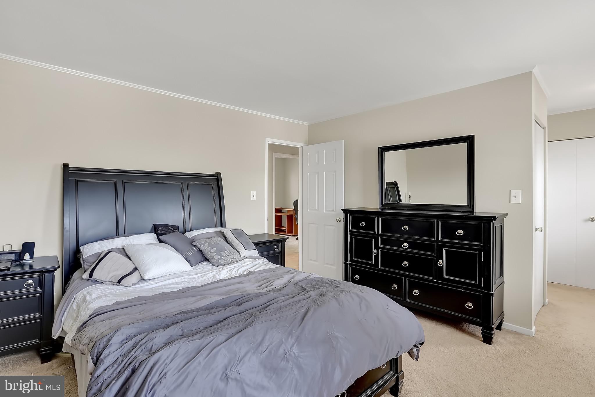 311 Timber Grove Road Owings Mills, MD 21117 - Photo 8 of 17 Spacious Master w/ Hers and His Closets