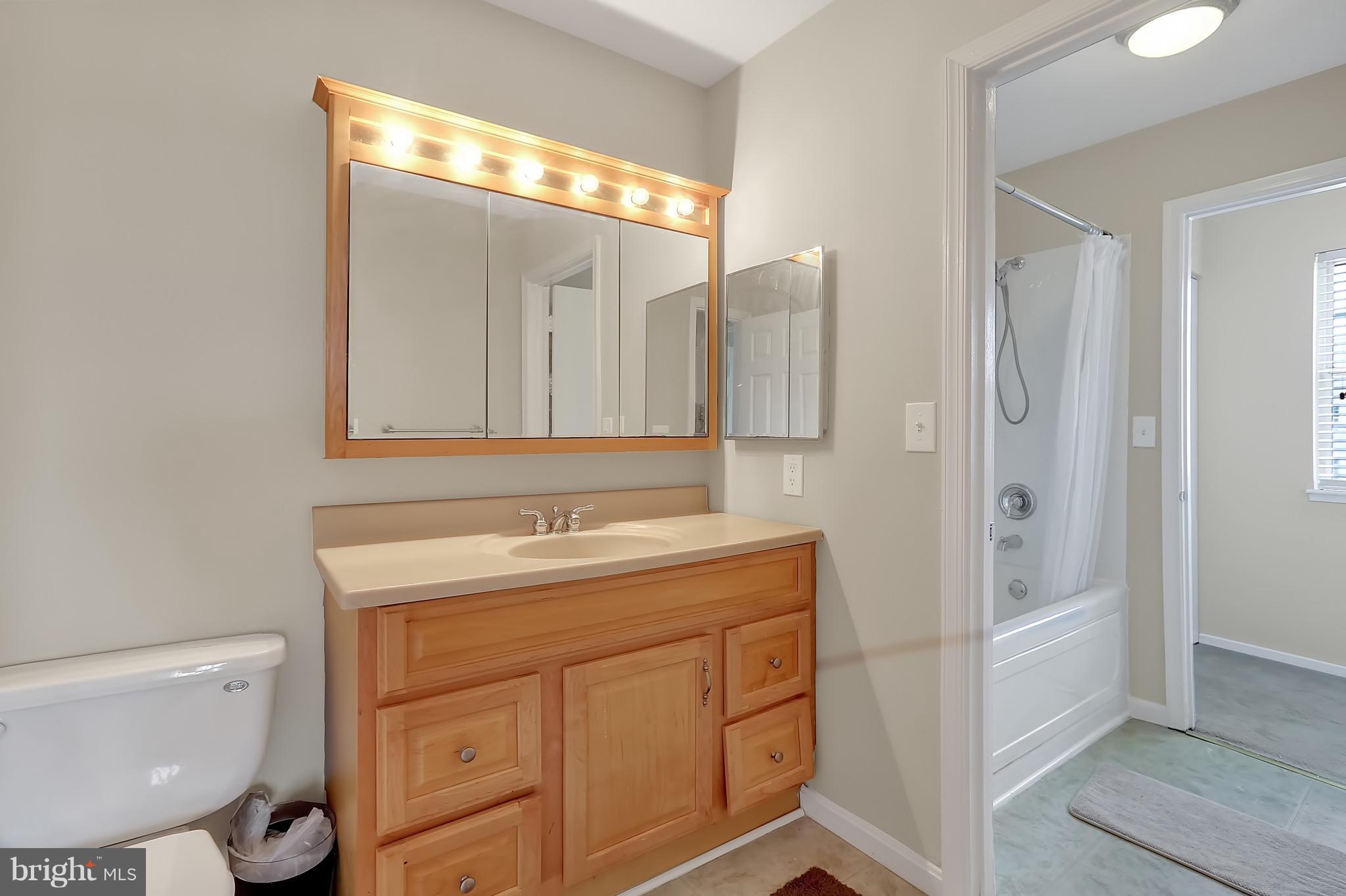 311 Timber Grove Road Owings Mills, MD 21117 - Photo 9 of 17 Master Bath with Soaking Tub