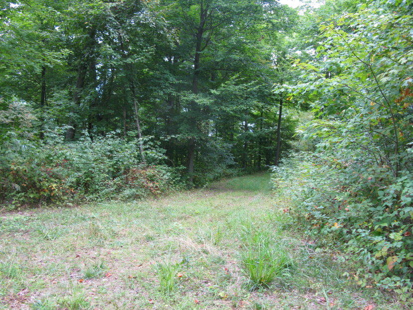 Mill Road Sandstone, WV 25985 - Photo 12 of 13 Gallery Image 12