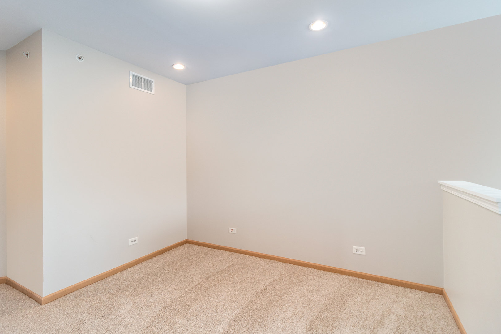 3863 Bailey Road Yorkville, IL 60560 - Photo 8 of 20