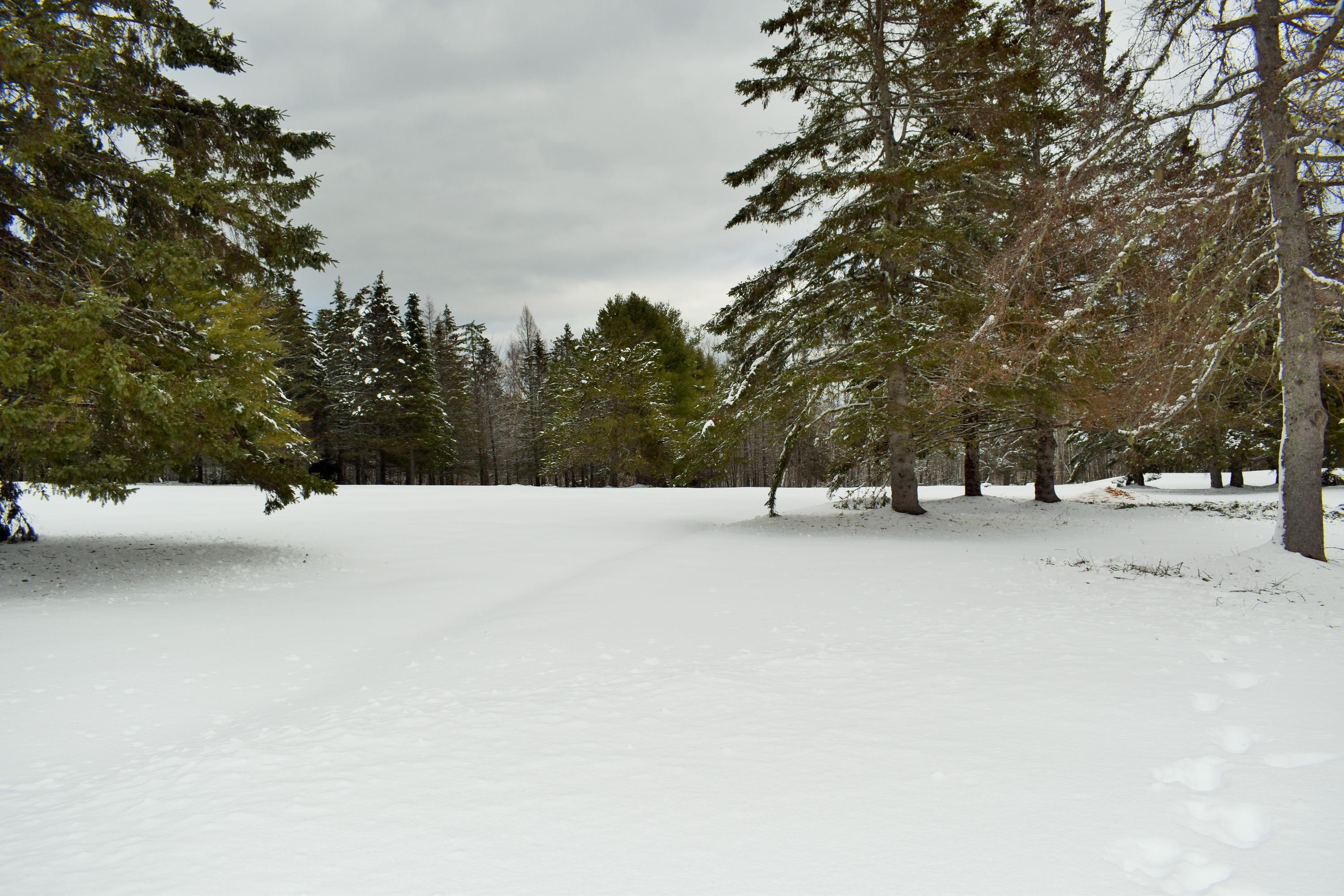 231 Downs Road Sebec, ME 04481 - Photo 76 of 82 74