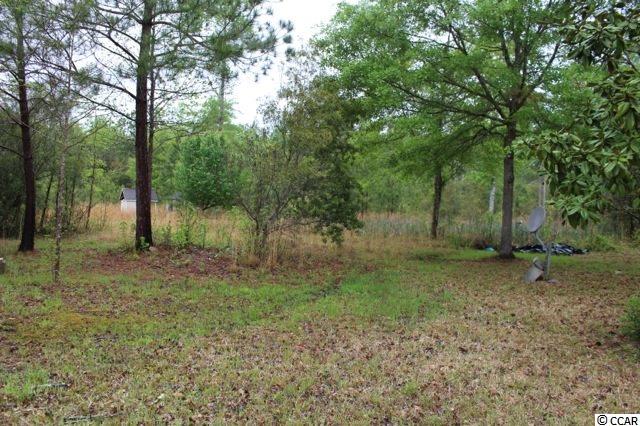 6184 Flossie Road Conway, SC 29527 - Photo 19 of 25