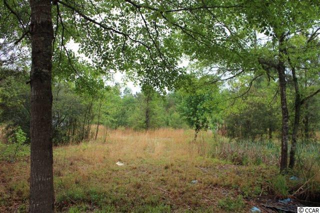 6184 Flossie Road Conway, SC 29527 - Photo 21 of 25