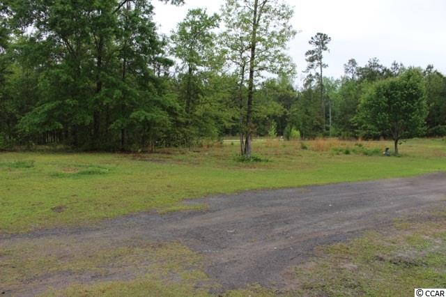 6184 Flossie Road Conway, SC 29527 - Photo 22 of 25