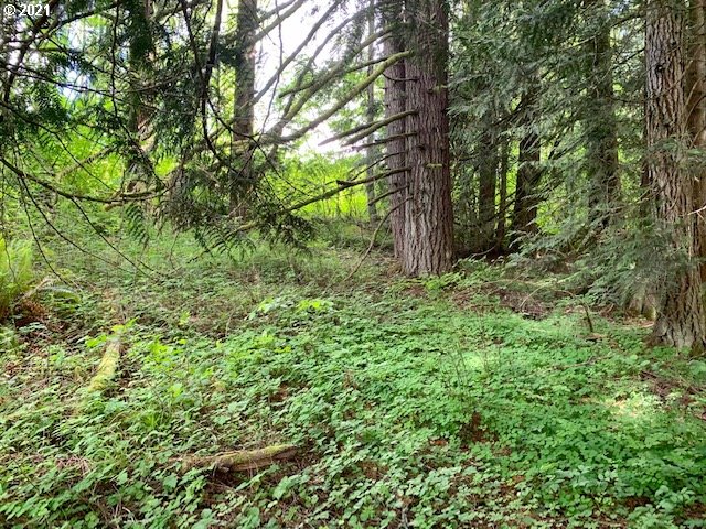66961 Anliker Road Rainier, OR 97048 - Photo 14 of 31