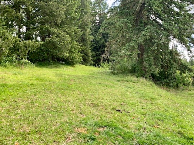 66961 Anliker Road Rainier, OR 97048 - Photo 8 of 31