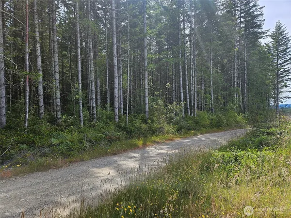 $279,000 | -nka L Lee Valley Road, Quilcene, WA 98376