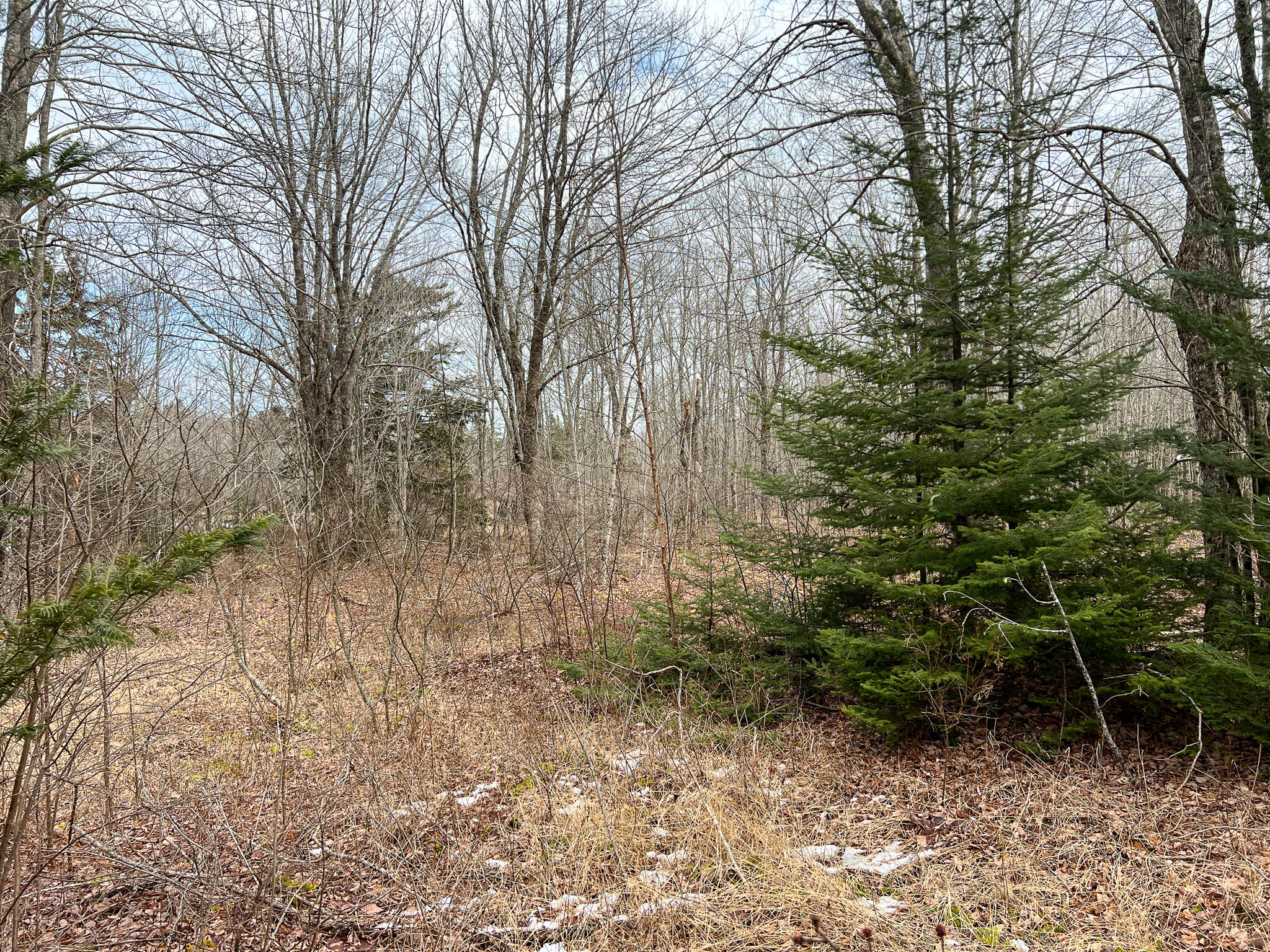 M4-l117 Southwest Crk Road Jonesport, ME 04649 - Photo 16 of 18 IMG_8386