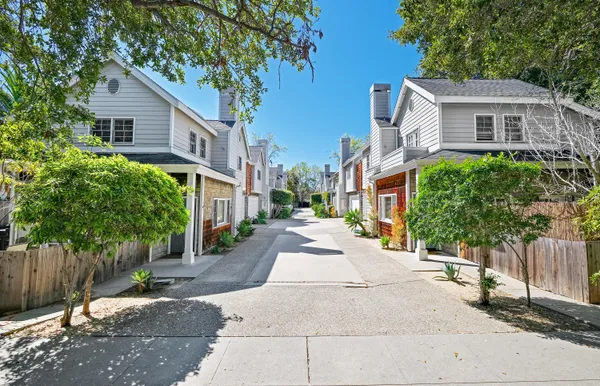 a view of a street with potted plants and large trees