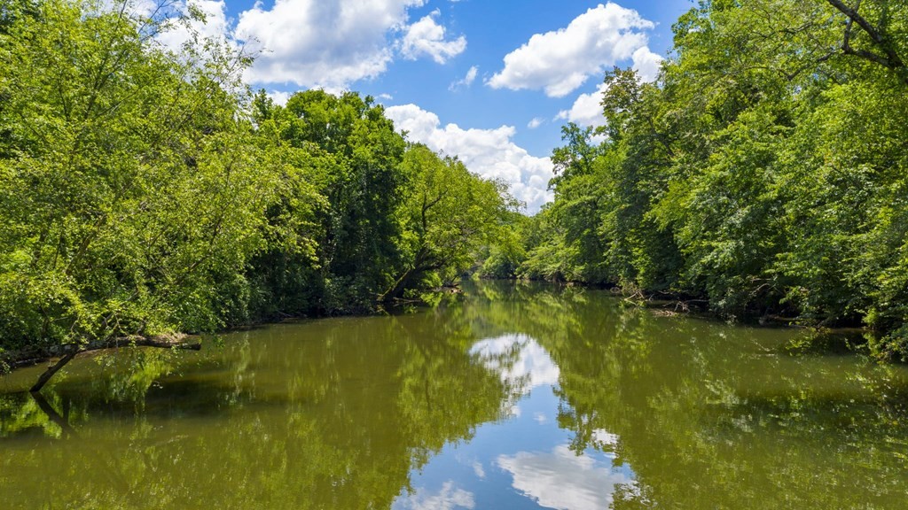 142 J Wilson Road Old Fort, TN 37362 - Photo 49 of 51