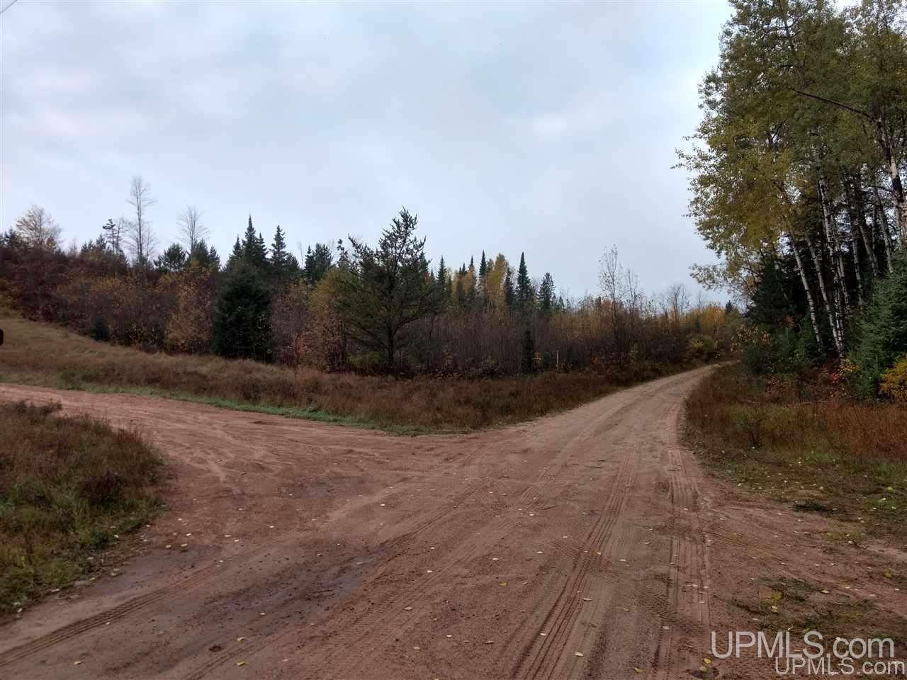 31-acres Chain Of Lakes Road Republic, MI 49879 - Photo 3 of 19 Gallery Image 3