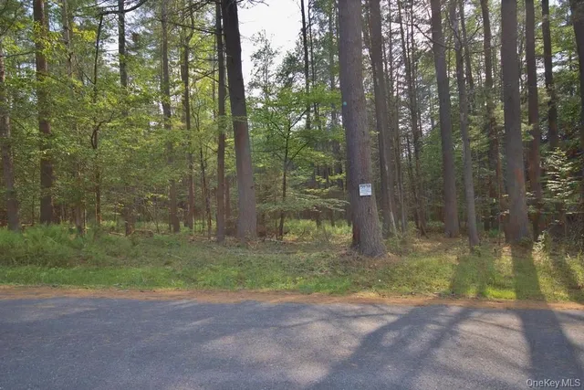 a view of a out door of the house