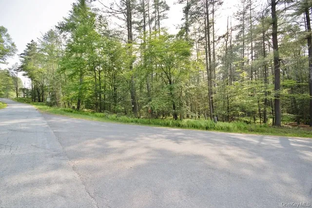 a view of a road with trees