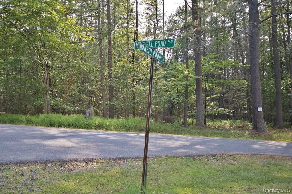 169 Mitchell Pond E Road Cochecton, NY 12726 - Photo 28 of 33 a backyard of a house with lots of green space