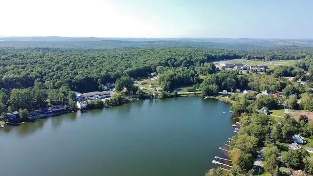 $649,000 | 169 Mitchell Pond E Road, Cochecton, NY 12726