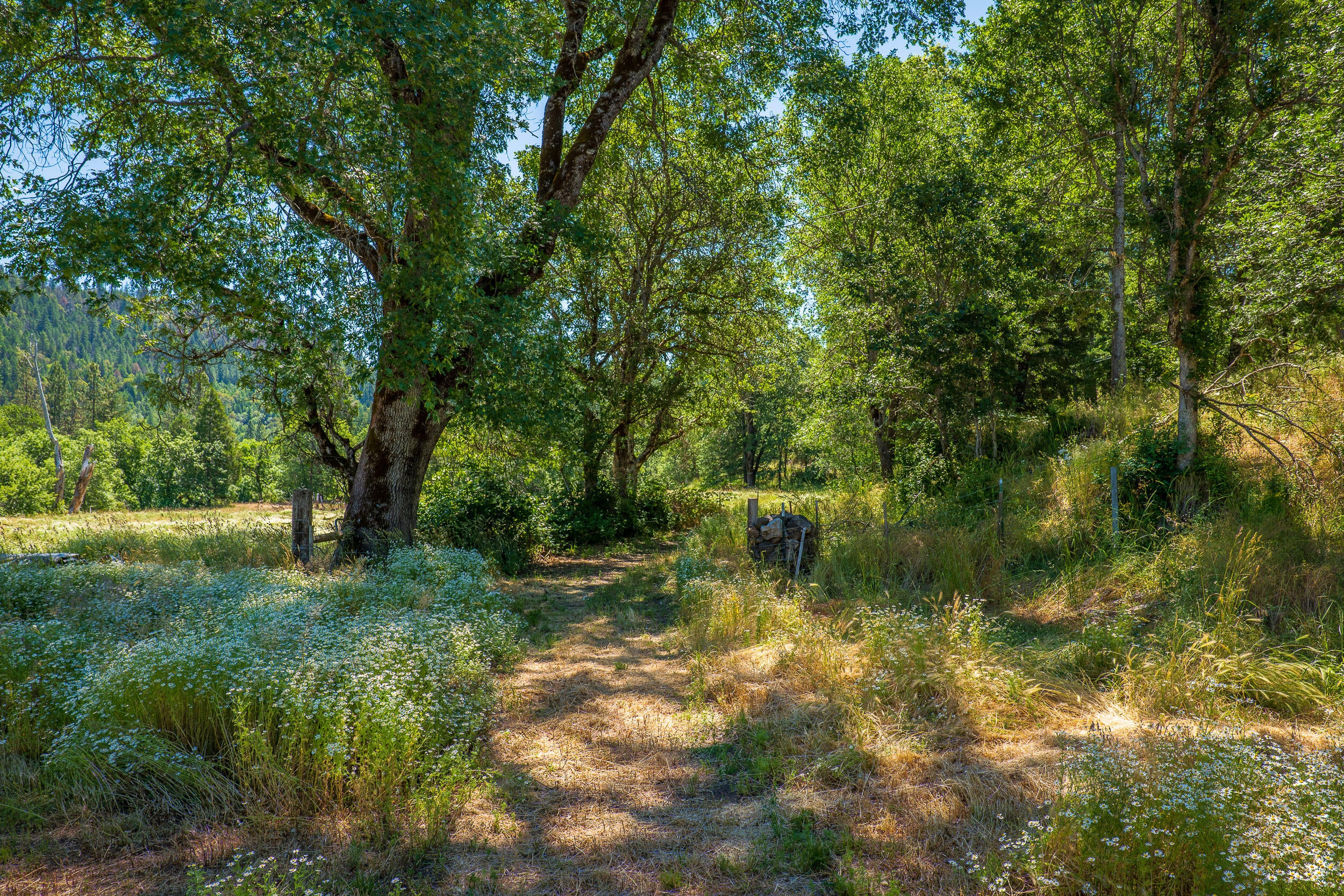 111 Loper Lane Trail, OR 97541 - Photo 41 of 51 30