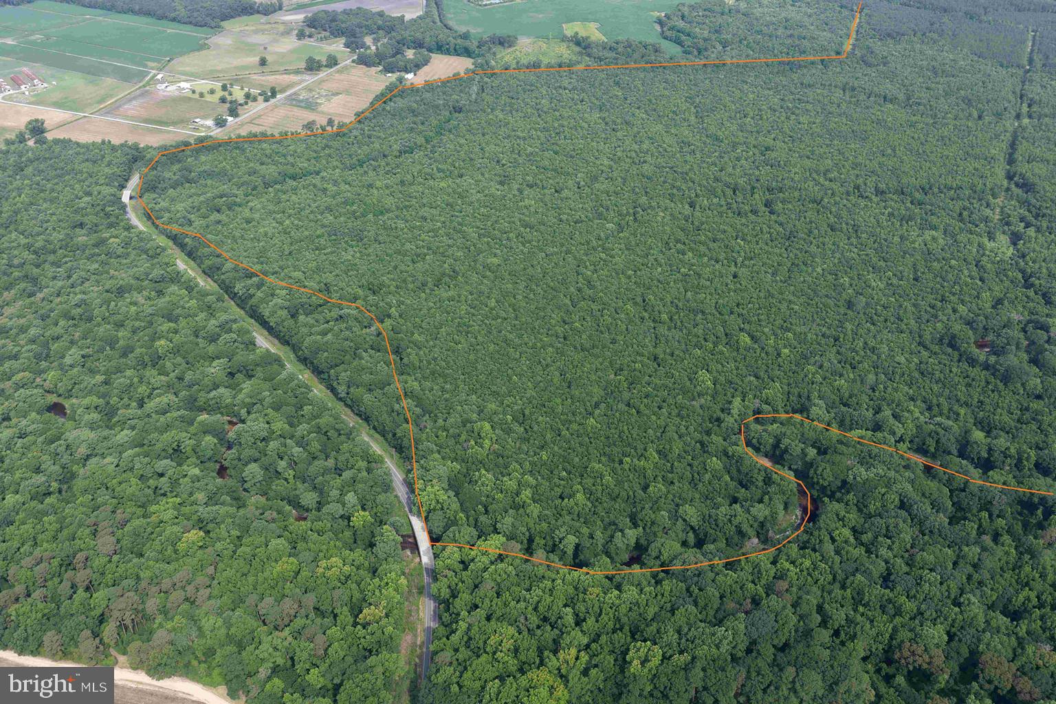 Sarecta Road Kenansville, NC 28349 - Photo 8 of 28