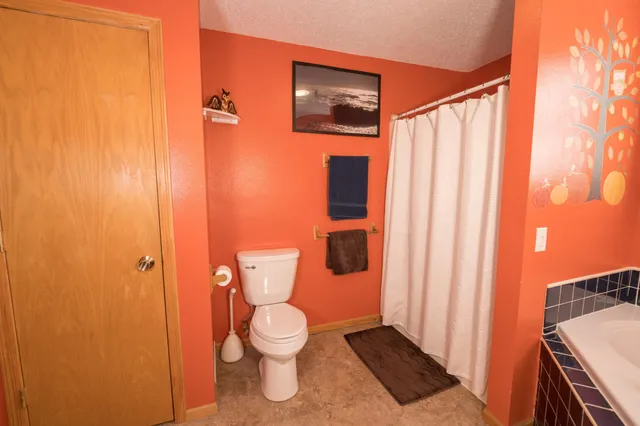 $217,000 | 255 West Vine Street, Mondovi, WI 54755