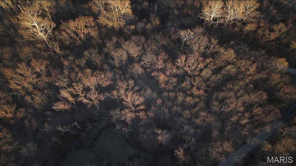0 Hollywood Beach Road Arnold, MO 63010 - Photo 3 of 15