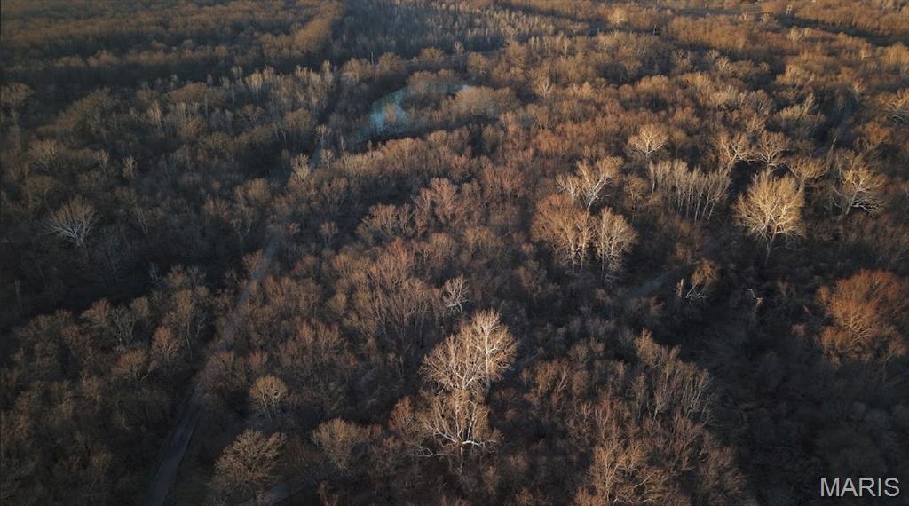 0 Hollywood Beach Road Arnold, MO 63010 - Photo 4 of 15