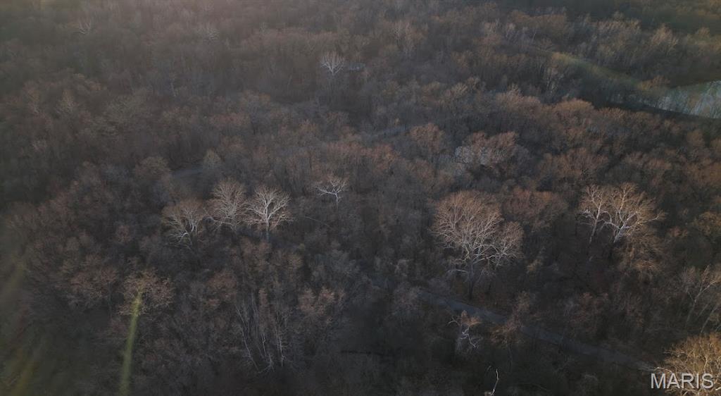 0 Hollywood Beach Road Arnold, MO 63010 - Photo 6 of 15