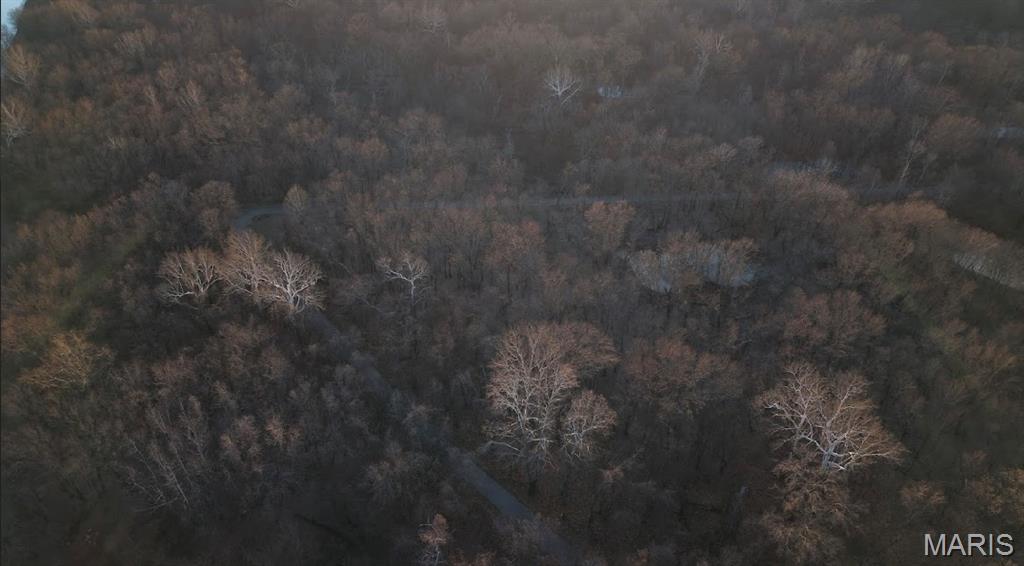 0 Hollywood Beach Road Arnold, MO 63010 - Photo 7 of 15