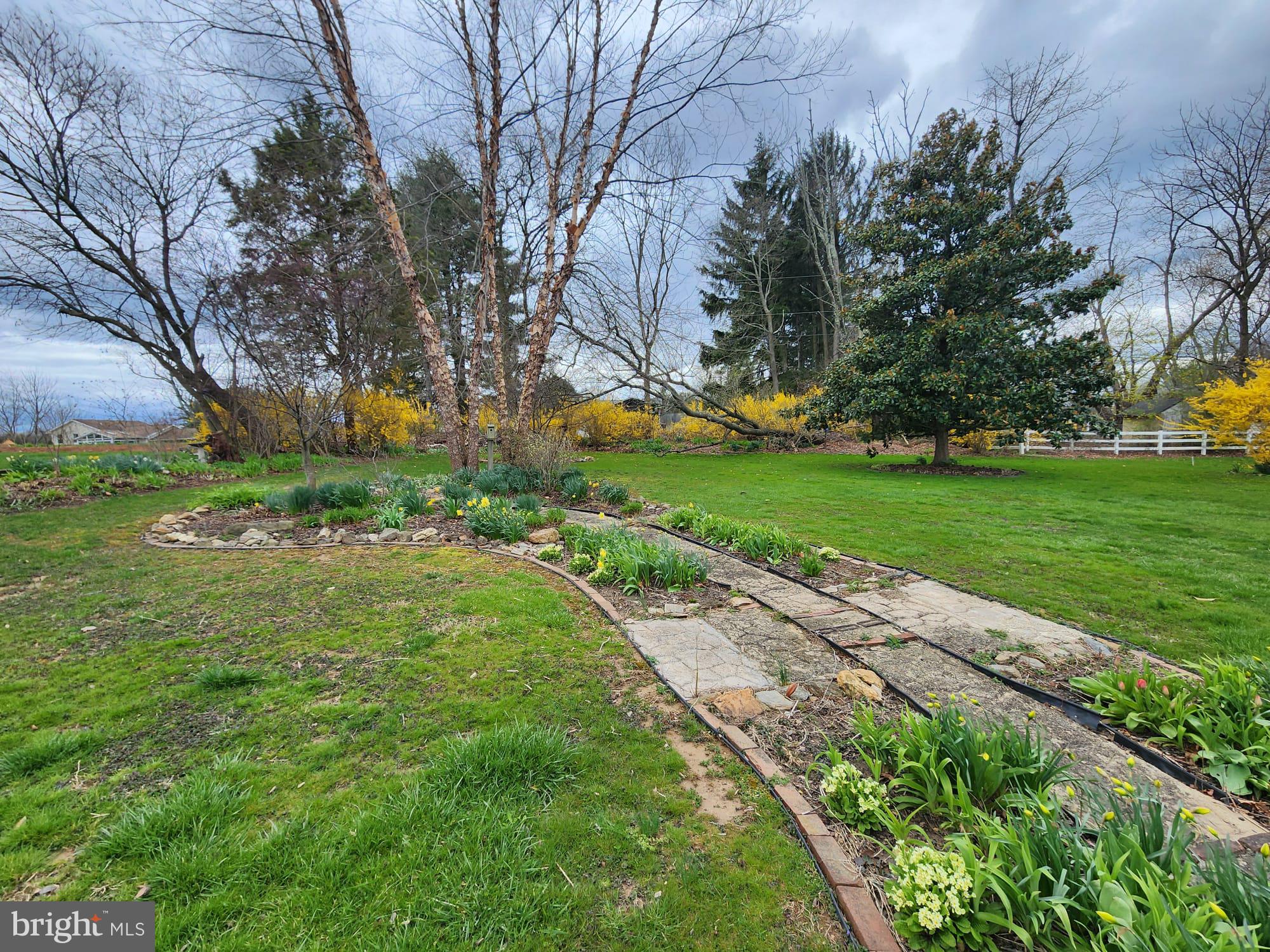 707 Old Liberty Road Sykesville, MD 21784 - Photo 29 of 31 a view of a park with large trees