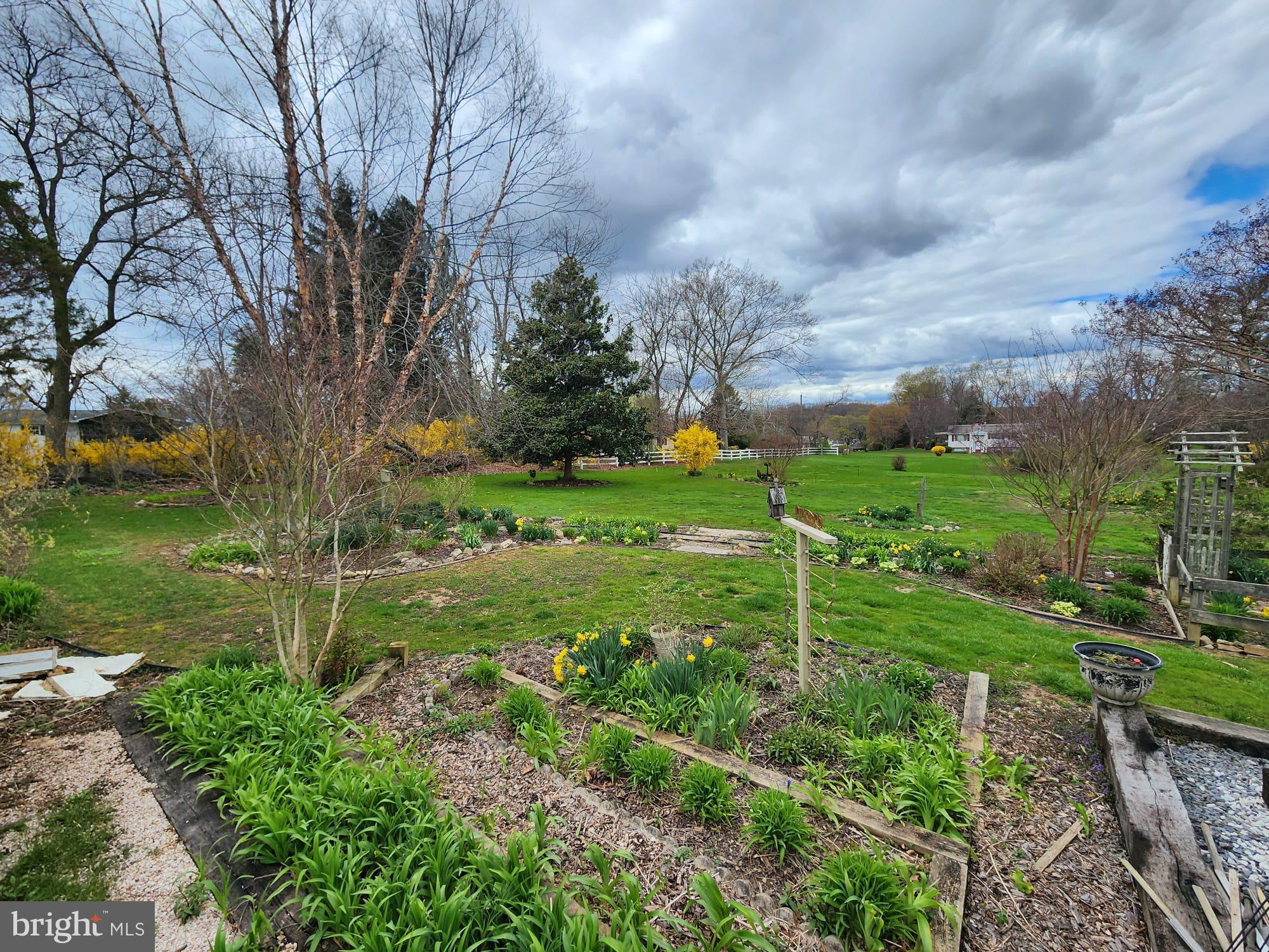 707 Old Liberty Road Sykesville, MD 21784 - Photo 30 of 31 a view of a garden with large trees