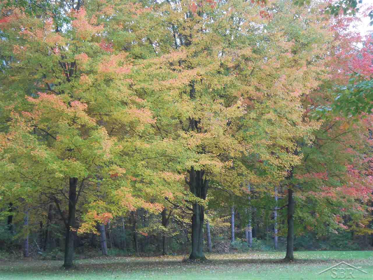 6760 South Steel Road St. Charles, MI 48655 - Photo 36 of 43 Fall Yard