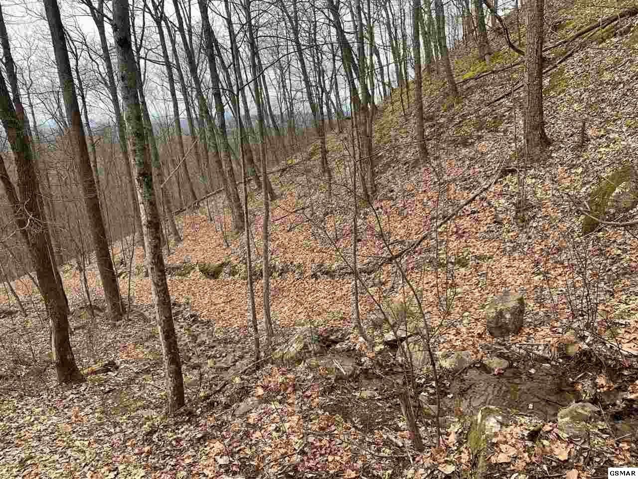 85 Chilly Springs Road Maryville, TN 37803 - Photo 9 of 16 Gallery Image 9