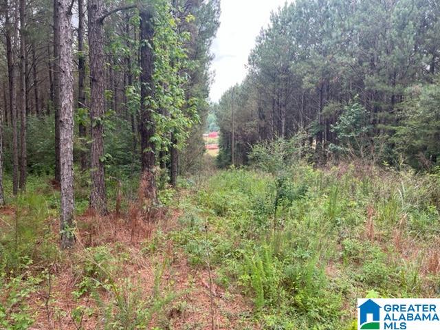 0 County Road 92, Unit X Graham, AL 36263 - Photo 6 of 13