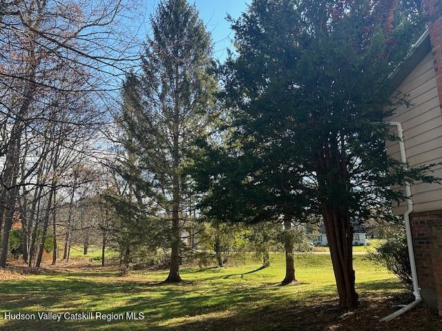 86 Pine Bush Road Stone Ridge, NY 12484 - Photo 29 of 30 a view of swimming pool
