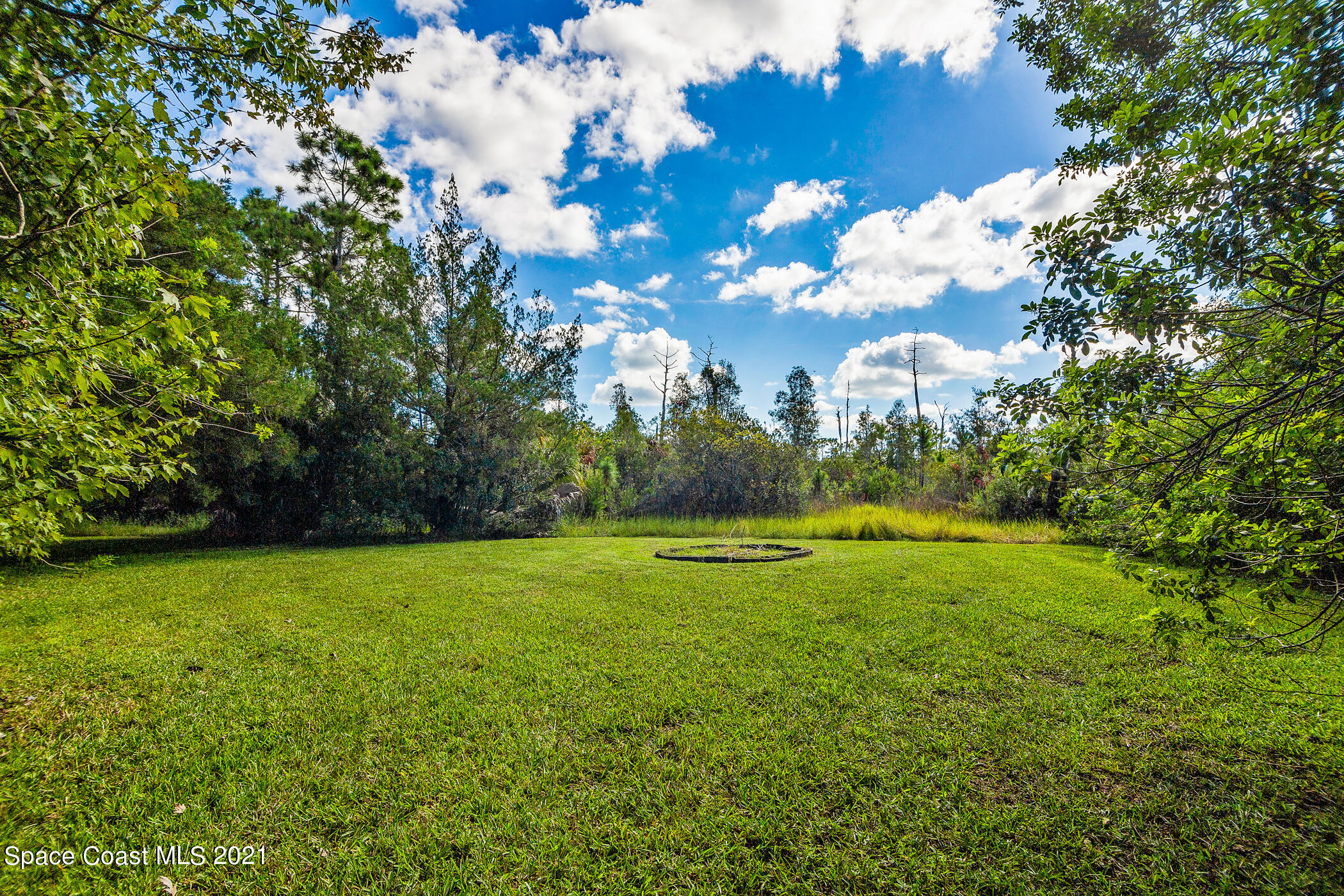 1390 Friday Road Cocoa, FL 32926 - Photo 60 of 69 a view of a field with a tree