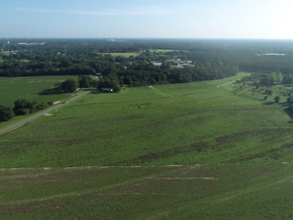 2763 Memphis Church Road Dothan, AL 36301 - Photo 2 of 15