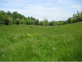Tract Hales Chapel Road Gray, TN 37615 - Photo 3 of 3 Photo 3