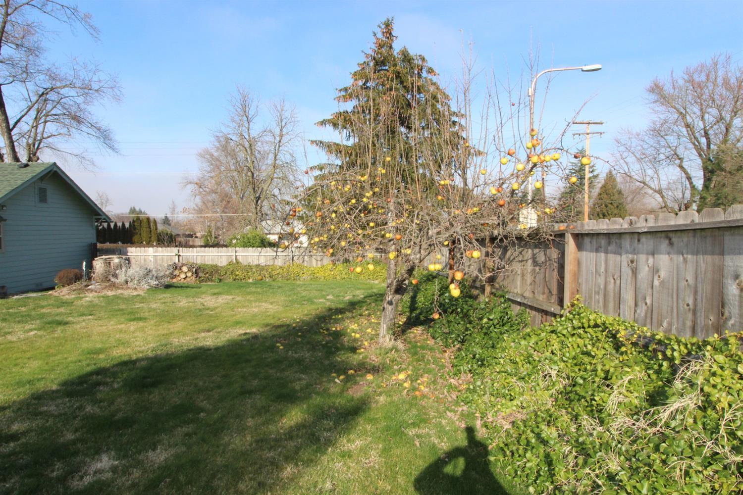 2030 Spring Street Medford, OR 97504 - Photo 5 of 25 Additional Photo