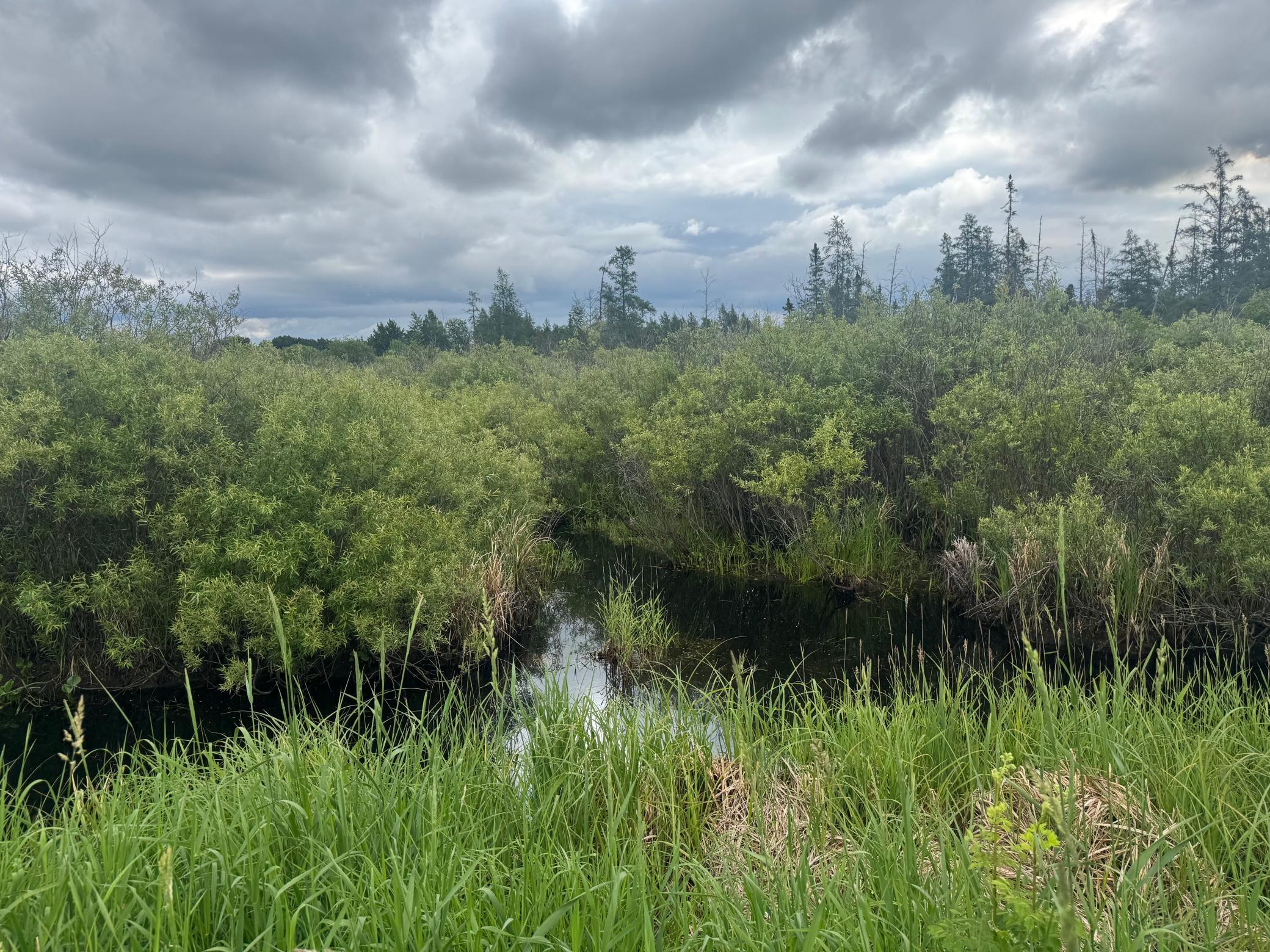 Tbd Town Line Road Forbes, MN 55738 - Photo 11 of 15