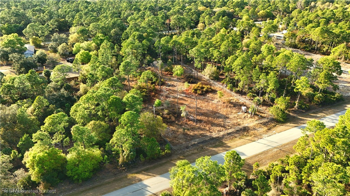 660 South Quebrada Street Clewiston, FL 33440 - Photo 4 of 8 a view of a tree