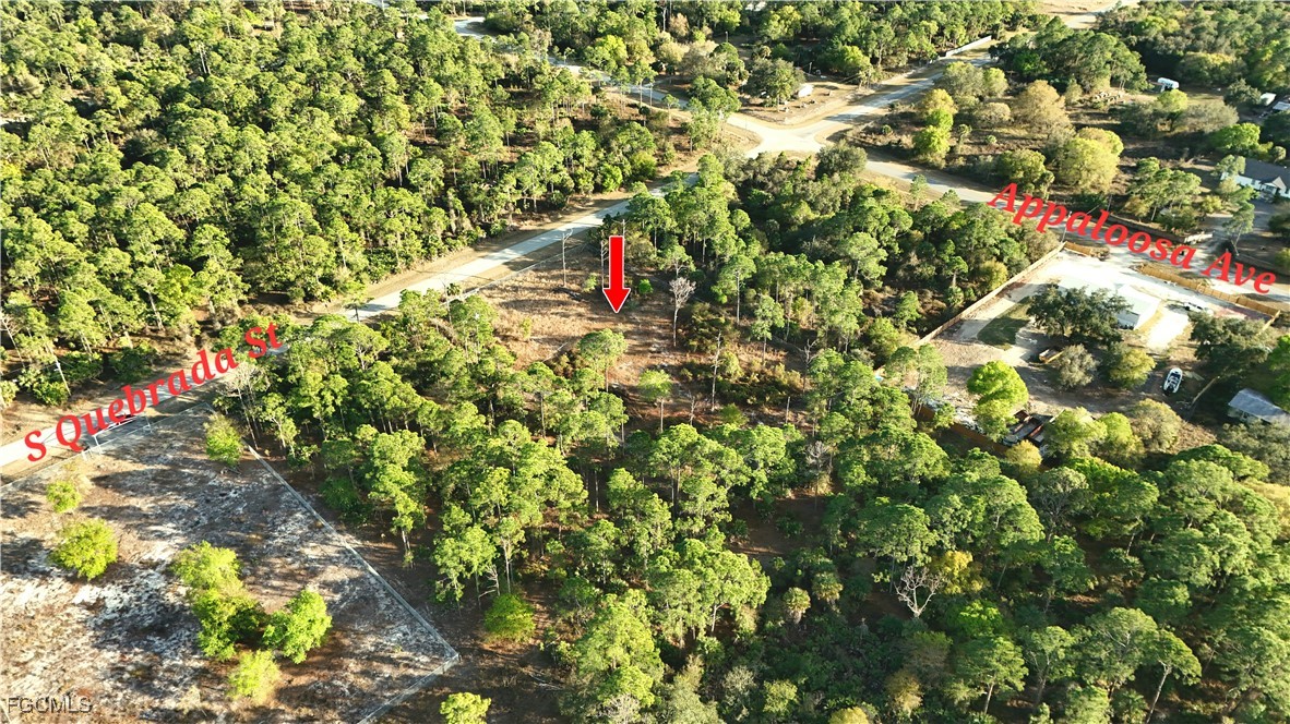 660 South Quebrada Street Clewiston, FL 33440 - Photo 8 of 8 a close up of a tree