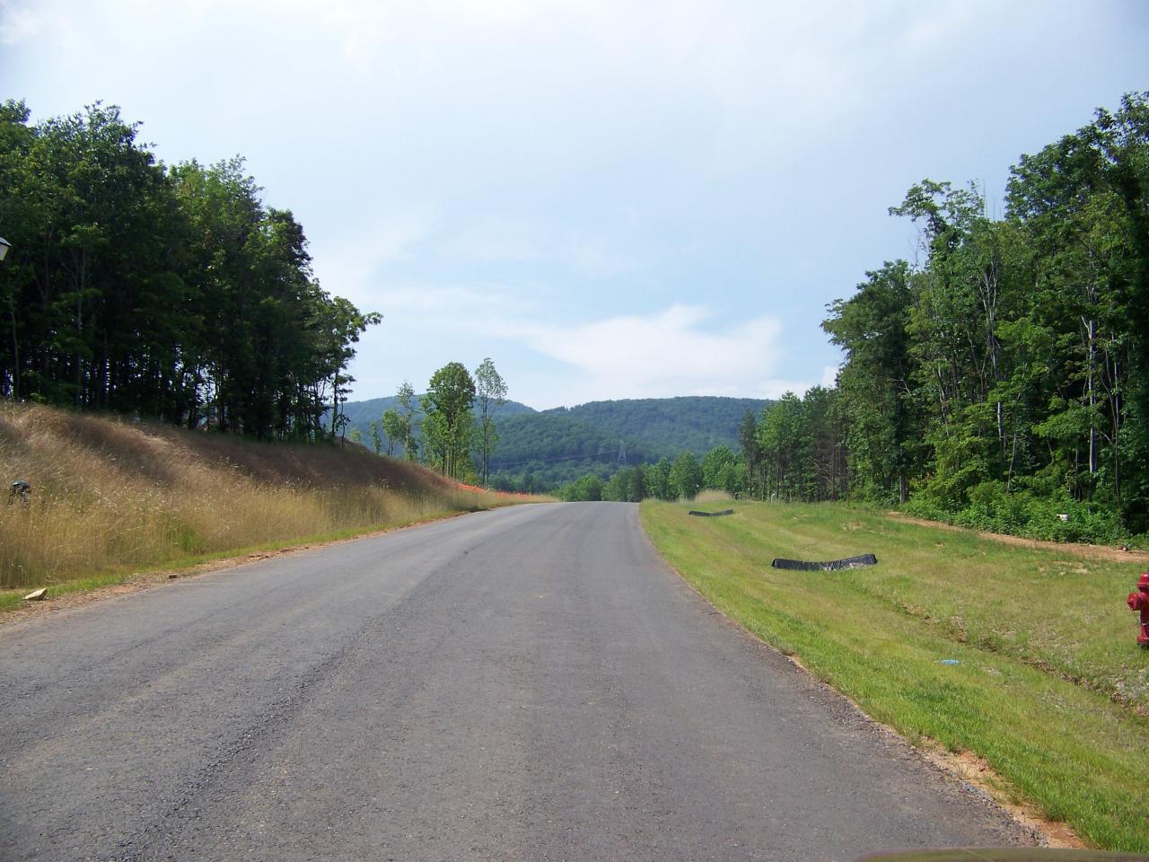 489 Thornblade Way Blue Ridge, VA 24064 - Photo 1 of 1 a view of a street with a yard and a large trees