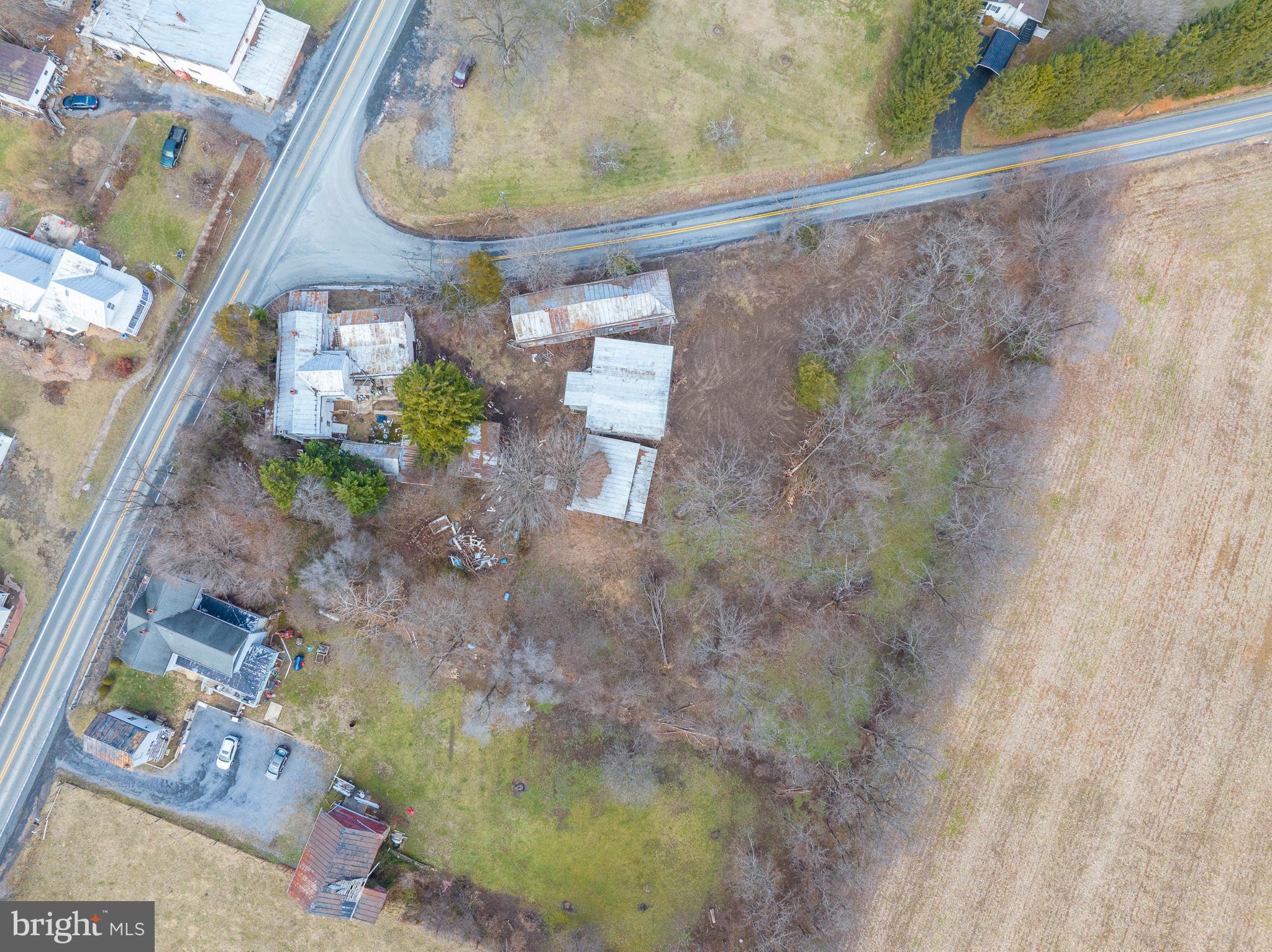 12 Conicville Road Mount Jackson, VA 22842 - Photo 7 of 14 a vase of flowers sitting on a table