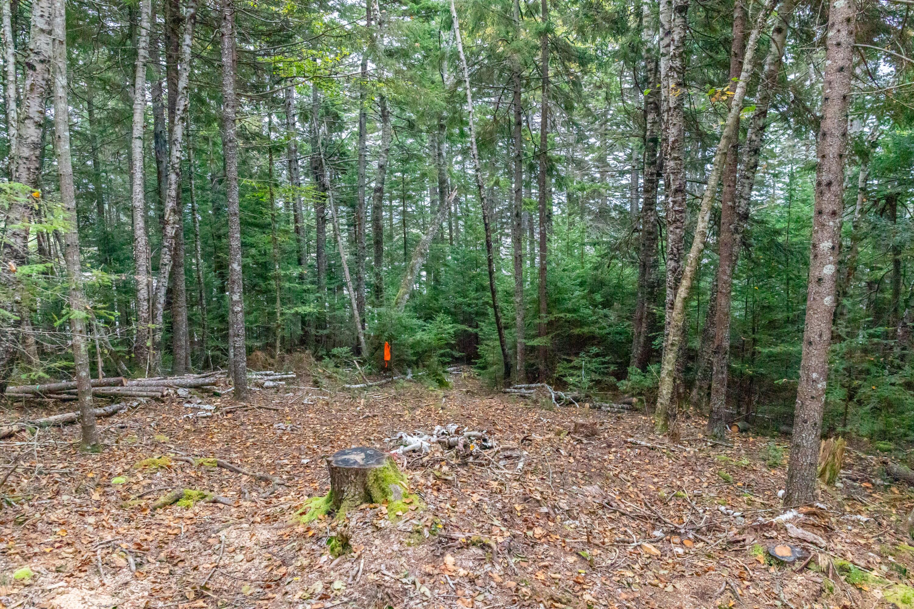 Lot2-a-2 Lot2-a-2 Holway Road Machias, ME 04654 - Photo 15 of 23 Clearing Has Started