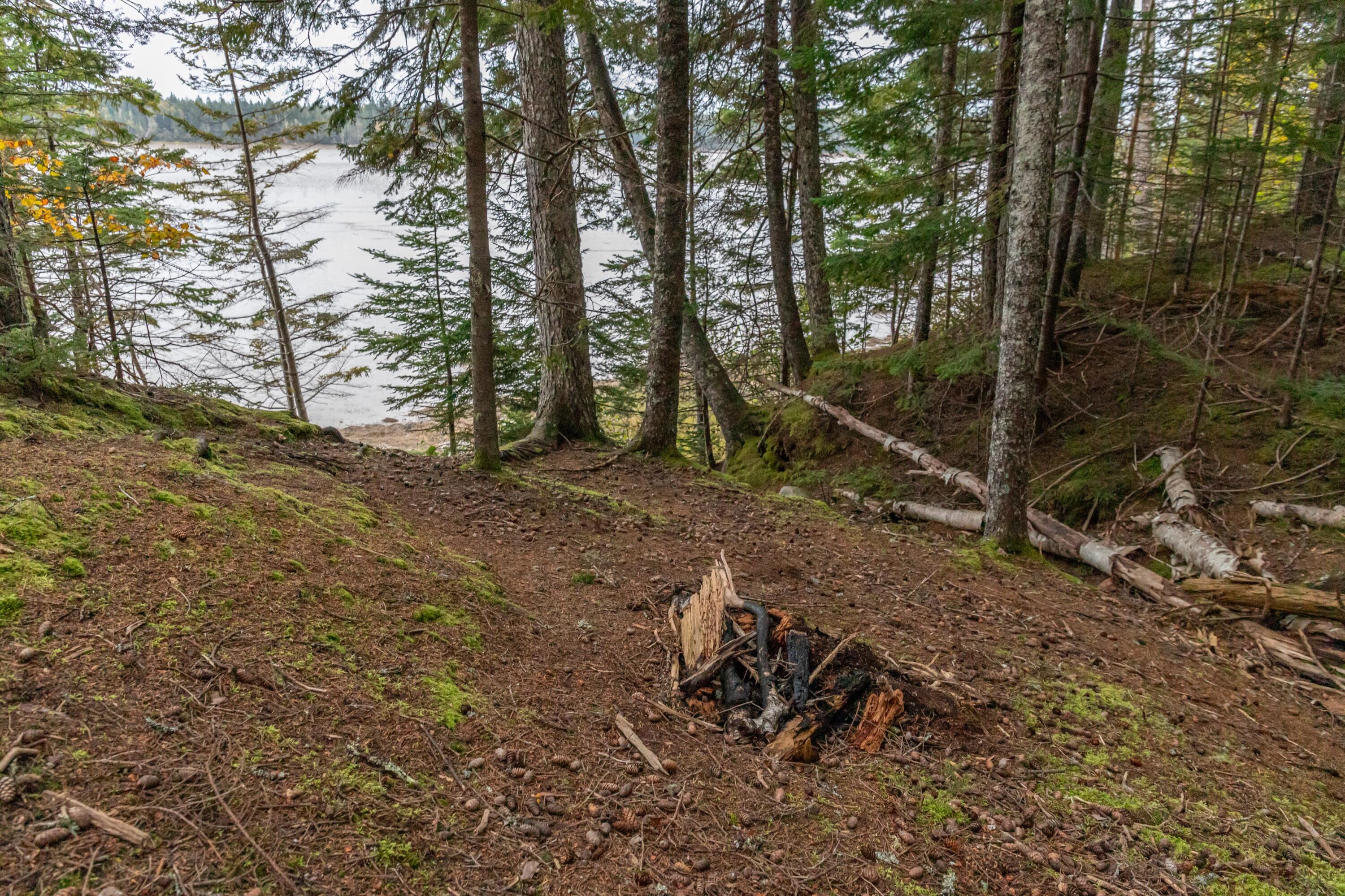 Lot2-a-2 Lot2-a-2 Holway Road Machias, ME 04654 - Photo 18 of 23 Path To The Water